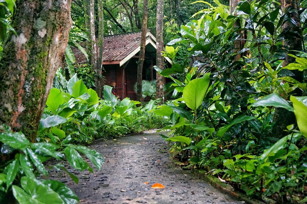 Khao Sok Riverside Cottages Khao Sok National Park Eksteriør bilde