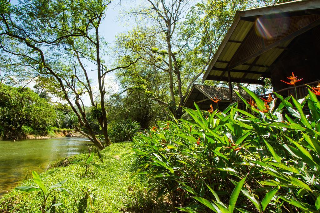 Khao Sok Riverside Cottages Khao Sok National Park Eksteriør bilde